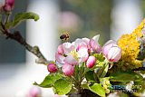 Fr&uuml;hling 2021