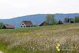 Fr&uuml;hling 2020 