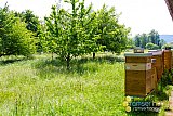 Fr&uuml;hling 2020 