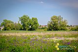Fr&uuml;hling 2020 