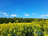 Fr&uuml;hling 2023