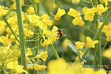 Fr&uuml;hling 2023