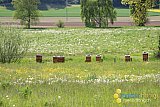 Fr&uuml;hling 2023