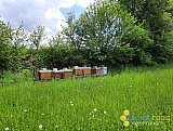 Fr&uuml;hling 2023